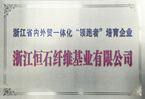 内外贸一体化领跑者